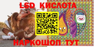 винт Донской